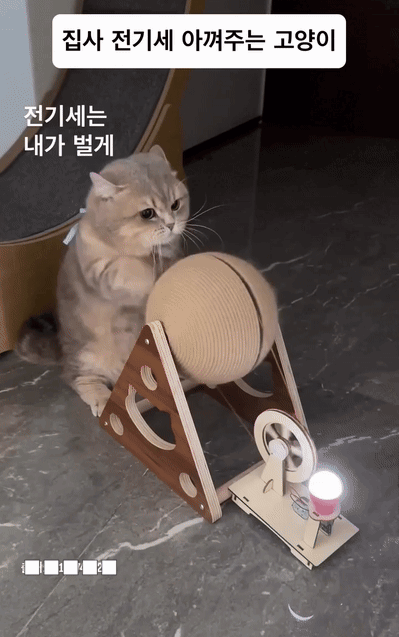 1000008036.gif