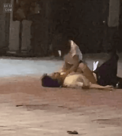 1000008052.gif
