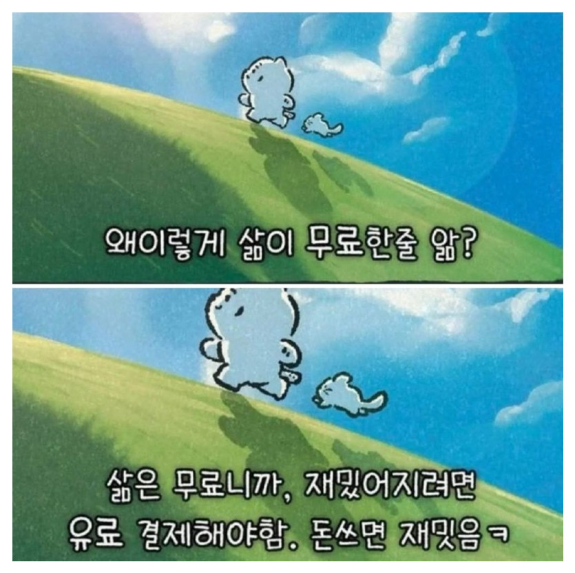 1000008203.jpg
