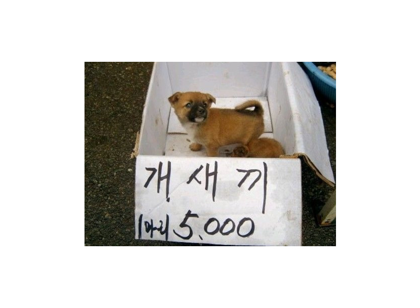 1000009257.jpg